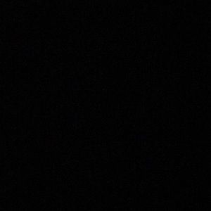 Meet your Posher, Selena